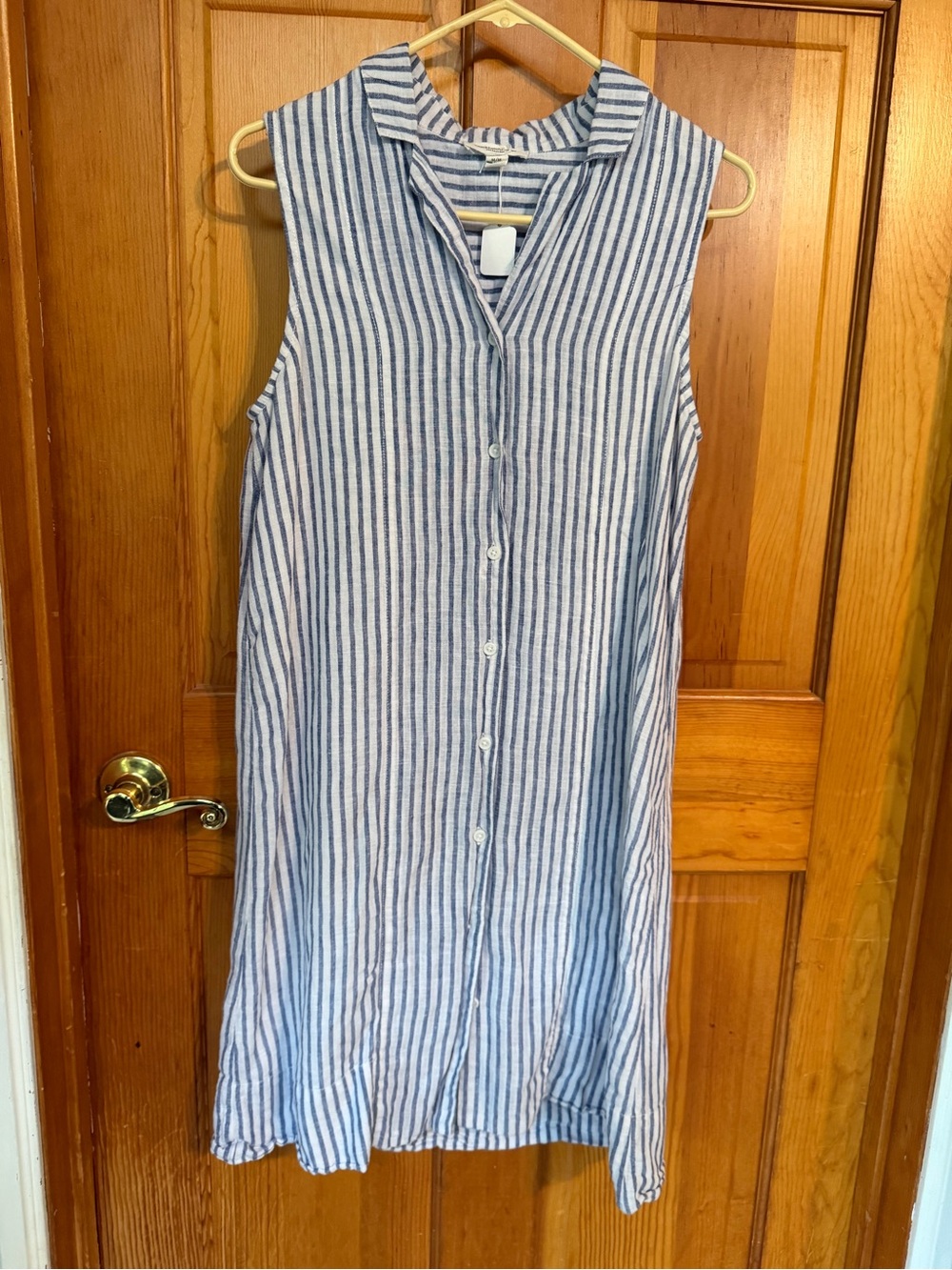 beachlunchlounge Blue and White Striped Sleeveless Button-Front Dress